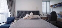 The Florence Residences (D19), Apartment #631122201